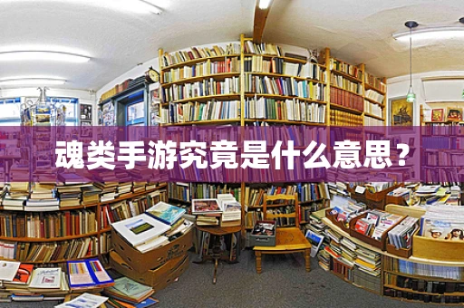魂类手游究竟是什么意思？