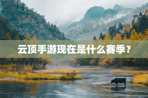 云顶手游现在是什么赛季？