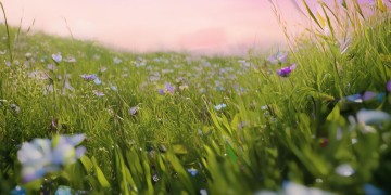 有哪些奶量大的手游呢？