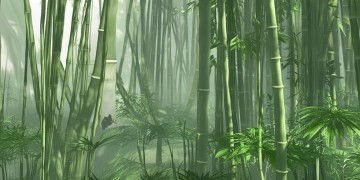 功夫熊猫手游真的可以玩吗？