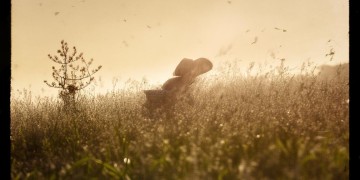 剑灵手游草原真的好玩吗？