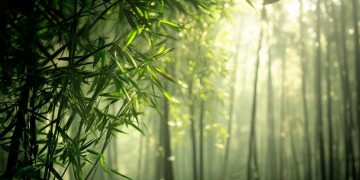 百将江湖有哪些手游呢？