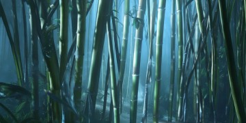 逆水寒手游偷师到底加什么？